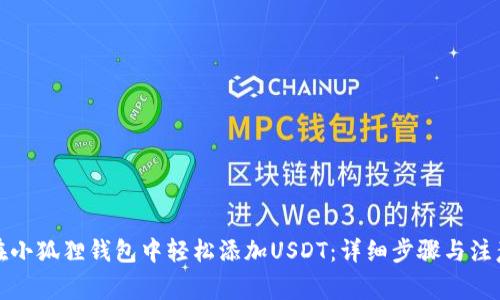 如何在小狐狸钱包中轻松添加USDT：详细步骤与注意事项