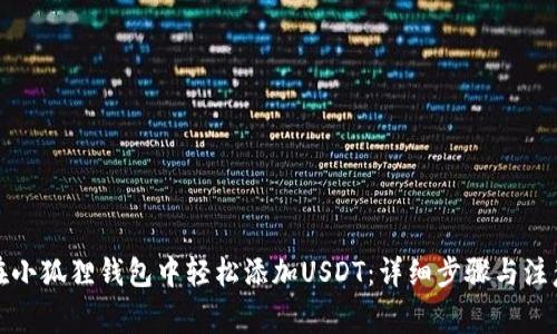 如何在小狐狸钱包中轻松添加USDT：详细步骤与注意事项