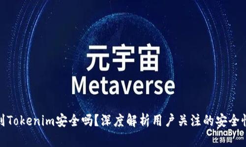 将币提到Tokenim安全吗？深度解析用户关注的安全性与风险