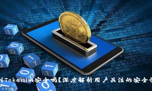 将币提到Tokenim安全吗？深度解析用户关注的安全性与风险