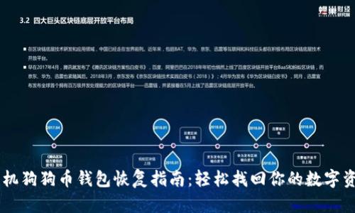 手机狗狗币钱包恢复指南：轻松找回你的数字资产