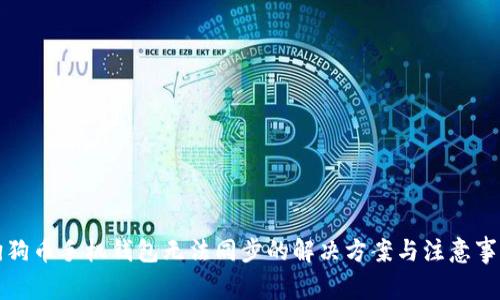 狗狗币手机钱包无法同步的解决方案与注意事项