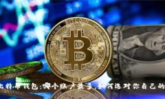 揭秘比特币钱包：哪个账