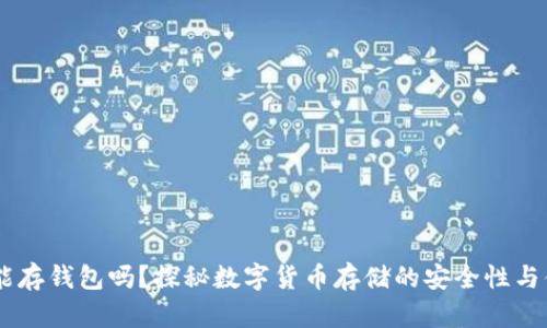 USDT能存钱包吗？探秘数字货币存储的安全性与便捷性
