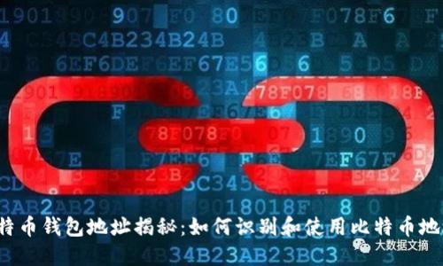 比特币钱包地址揭秘：如何识别和使用比特币地址？