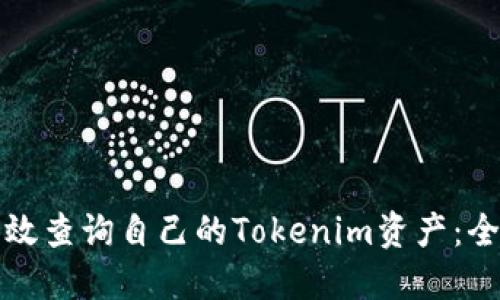 如何高效查询自己的Tokenim资产：全面指南