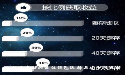 比特币存储的最佳钱包选择与安全性分析