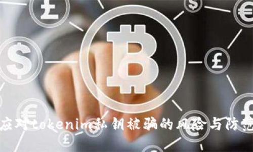 如何应对tokenim私钥被骗的风险与防范措施