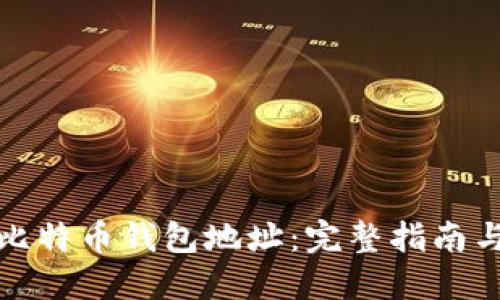如何找到比特币钱包地址：完整指南与实用技巧