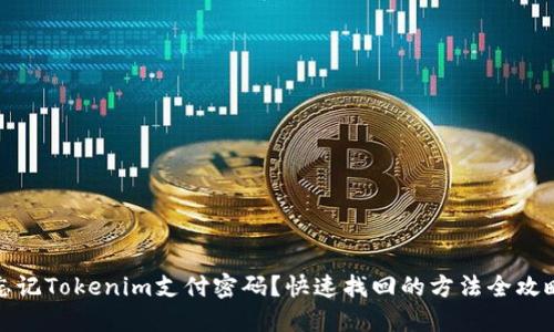 忘记Tokenim支付密码？快速找回的方法全攻略