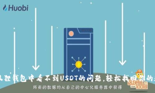 解决小狐狸钱包中看不到USDT的问题,轻松找回你的数字资产