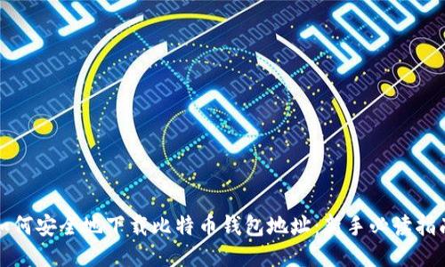 如何安全地下载比特币钱包地址:新手必读指南