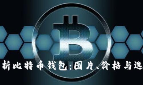 全面解析比特币钱包:图片、价格与选择指南