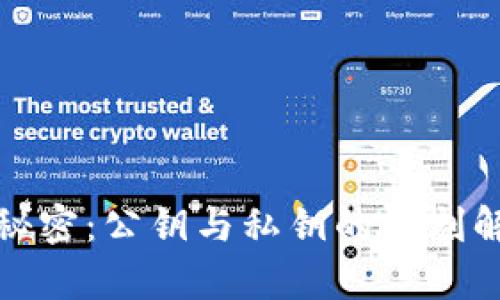 比特币钱包的秘密:公钥与私钥的深刻解析与安全策略