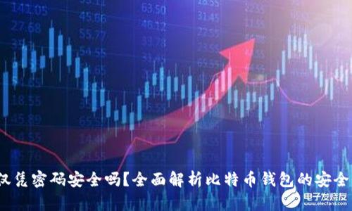 比特币钱包：仅凭密码安全吗？全面解析比特币钱包的安全性与使用技巧