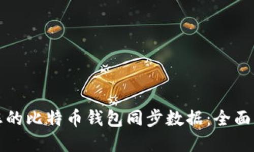 如何高效管理您的比特币钱包同步数据:全面指南与实用技巧