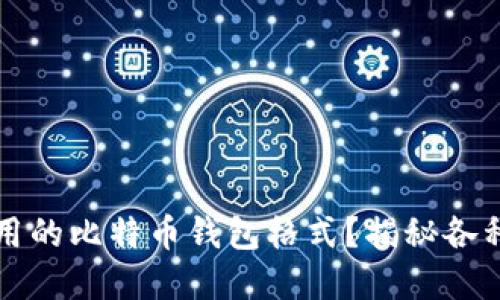 如何选择安全且易用的比特币钱包格式?揭秘各种钱包类型的优缺点