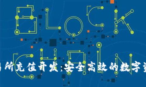 Tokenim交易所充值开发：安全高效的数字资产流通方案