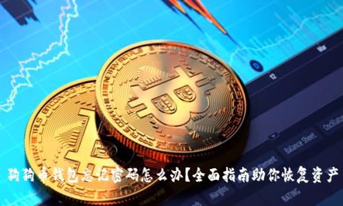 狗狗币钱包忘记密码怎么办?全面指南助你恢复资产