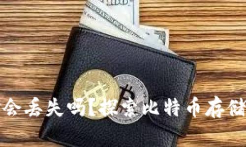 比特币钱包中的资金会丢失吗？探索比特币存储的安全性和操作风险