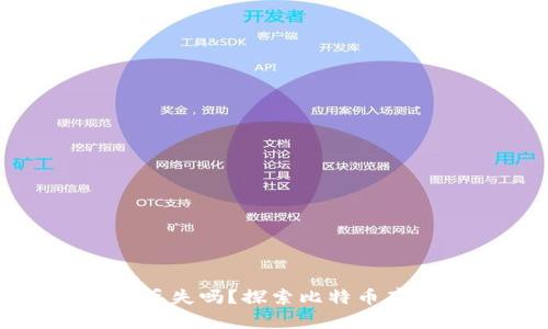 比特币钱包中的资金会丢失吗？探索比特币存储的安全性和操作风险