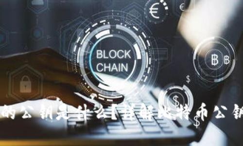 比特币钱包中的公钥是什么?详解比特币公钥与私钥的区别