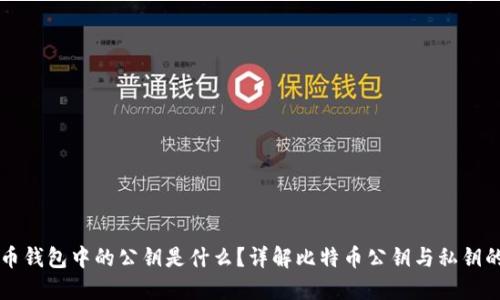 比特币钱包中的公钥是什么?详解比特币公钥与私钥的区别