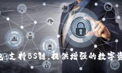 Tokenim钱包:支持BS链,提供增强的数字资产管理体验