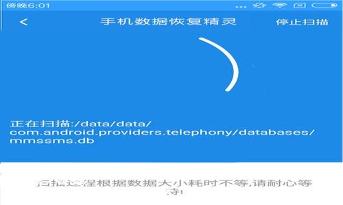 骨骼/骨骼
泰达币官方钱包:安全下载指南与功能解析
