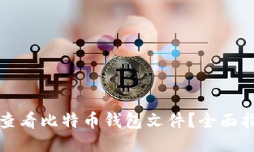 如何轻松查看比特币钱包文件?全面指南与技巧